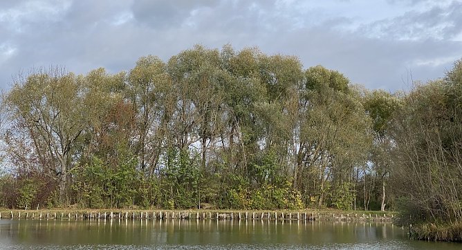 B&ouml;hmenteich Bad Langensalza (Foto: oas)