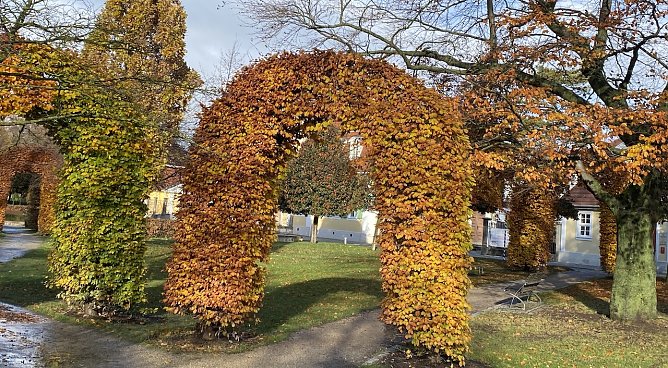 Verabschiedet sich der Herbst schon? (Foto: oas) Verabschiedet sich der Herbst schon? (Foto: oas)