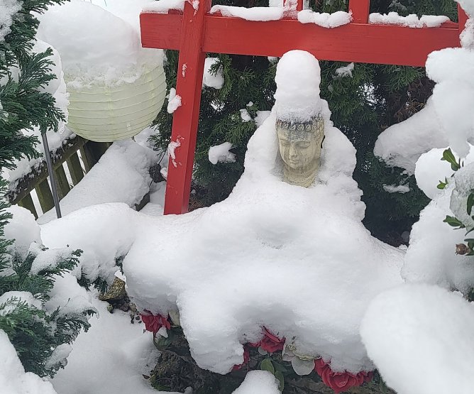 Buddha im Schnee in Bad Frankenhausen (Foto: Simone Klein) Buddha im Schnee in Bad Frankenhausen (Foto: Simone Klein)
