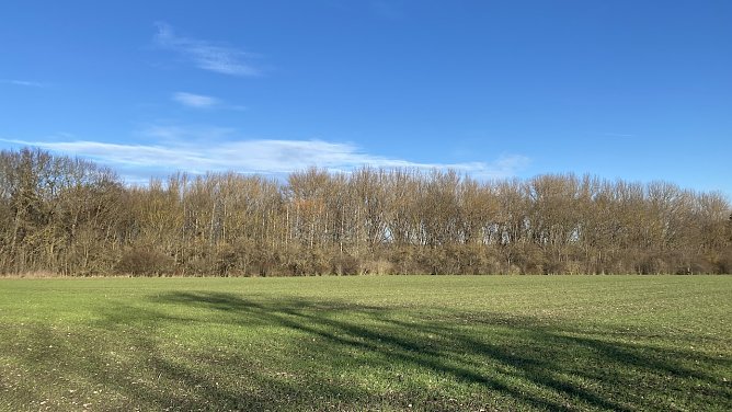Am Badew&auml;ldchen bei Bad Langensalza (Foto: oas)
