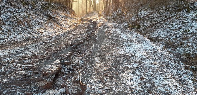 Hochwassersch&auml;den im S&uuml;dharz (Foto: Gerd Thomsen)