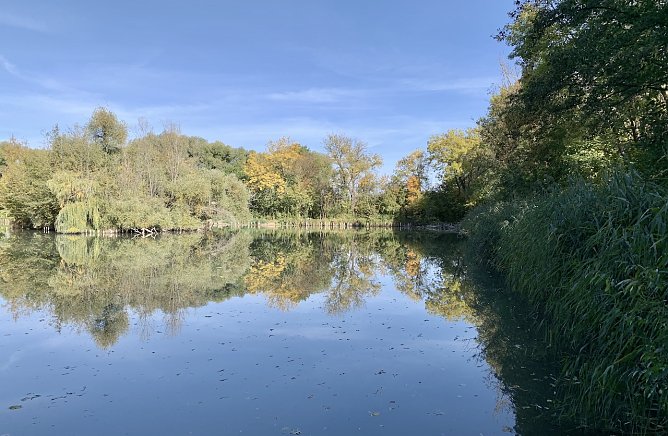 Wetter (Foto: Eva Maria Wiegand)