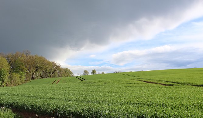 Wetter (Foto: Eva Maria Wiegand)