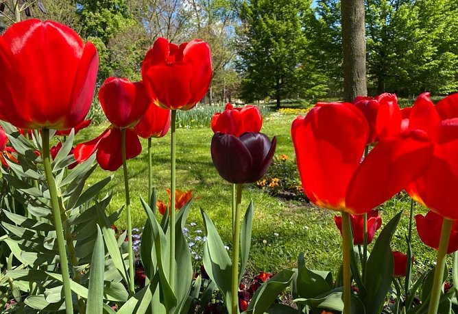 Wetter (Foto: Eva Maria Wiegand) Wetter (Foto: Eva Maria Wiegand)