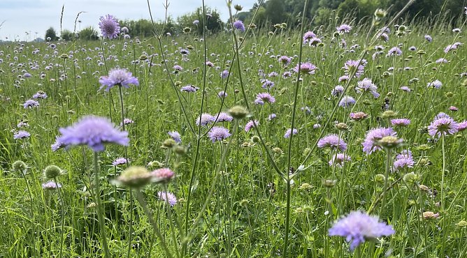 Esc bleibt nass, wird aber wieder w&auml;rmer (Foto: oas)