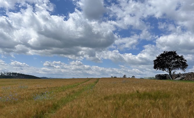 Gewittergefahr bleibt bestehen (Foto: oas) Gewittergefahr bleibt bestehen (Foto: oas)