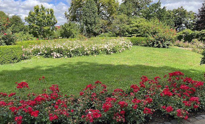 Das Wochenende wird sommerlich warm (Foto: oas) Das Wochenende wird sommerlich warm (Foto: oas)