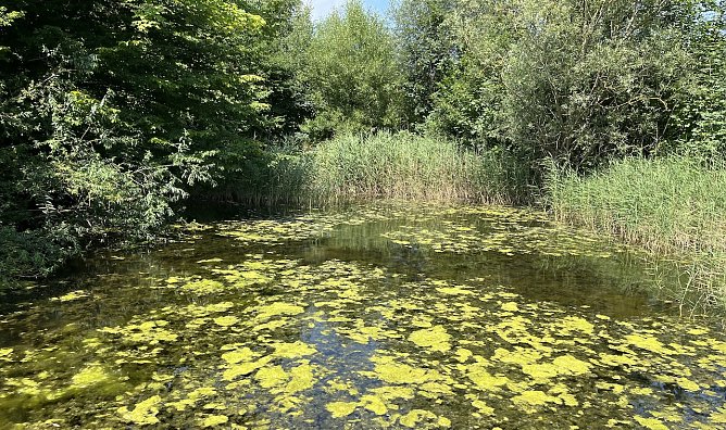 Es bleibt sommerlich durch ein Zwischenhoch (Foto: oas) Es bleibt sommerlich durch ein Zwischenhoch (Foto: oas)