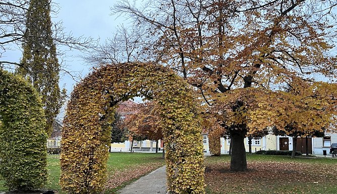 Rostfarbener Kurpark in Bad Langensalza (Foto: oas) Rostfarbener Kurpark in Bad Langensalza (Foto: oas)