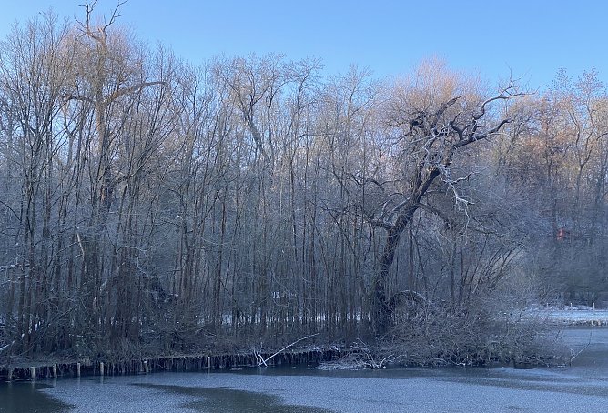 Fällt doch die eine oder andre Schneeflocke an Heiligabend? (Foto: uhz Archiv) Fällt doch die eine oder andre Schneeflocke an Heiligabend? (Foto: uhz Archiv)