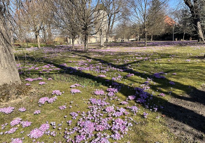 Bei deutlich steigenden Temperaturen bleiben die Nachtfr&ouml;ste erhalten (Foto: oas)