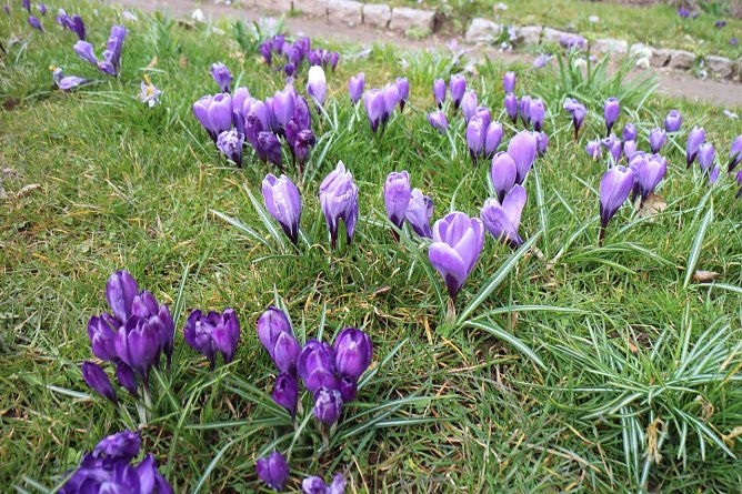 Wetterbild (Foto: agl)