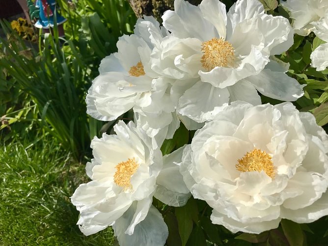 Wetterbild (Foto: nnz)