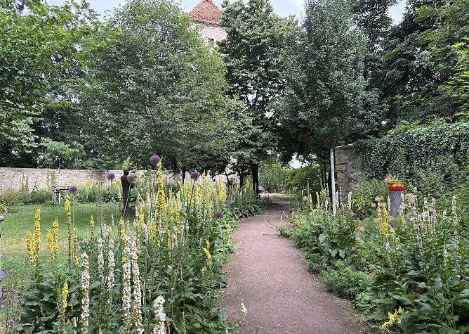 Morgen wieder Gewitter (Foto: oas) Morgen wieder Gewitter (Foto: oas)