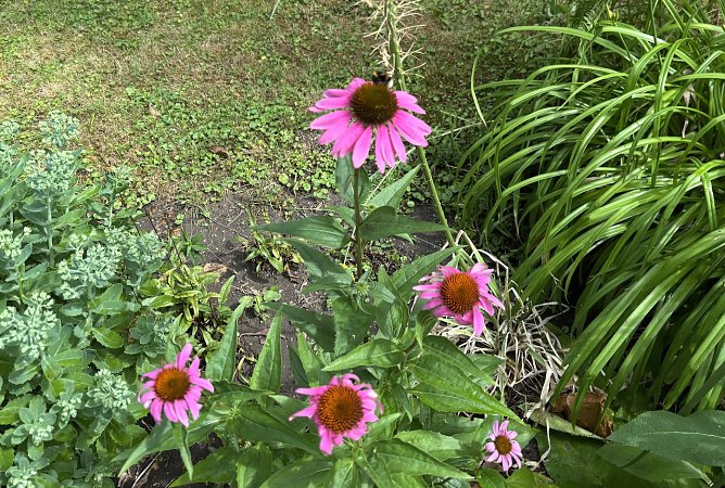 Der Sommer läßt weiter auf sich warten (Foto: oas) Der Sommer läßt weiter auf sich warten (Foto: oas)