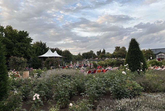 Rosengarten Bad Langensalza (Foto: oas) Rosengarten Bad Langensalza (Foto: oas)