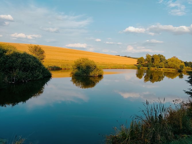 !. Fischteiche Helenenhof (Foto: Ramona Koch) !. Fischteiche Helenenhof (Foto: Ramona Koch)