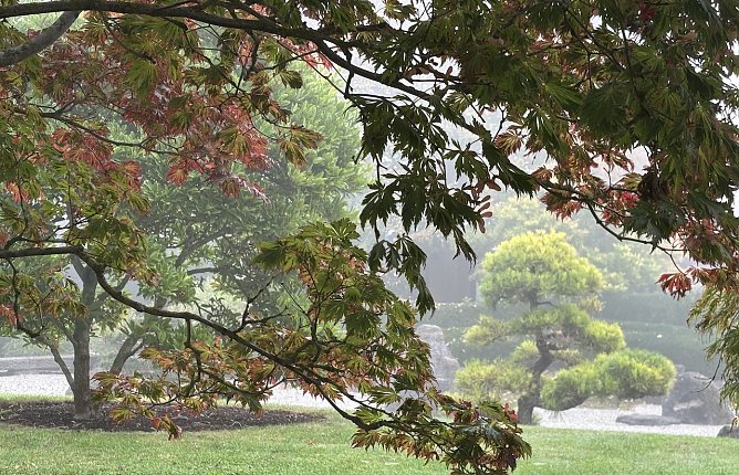 Ruhiges Herbstwetter nach Nebelauflösung (Foto: oas) Ruhiges Herbstwetter nach Nebelauflösung (Foto: oas)