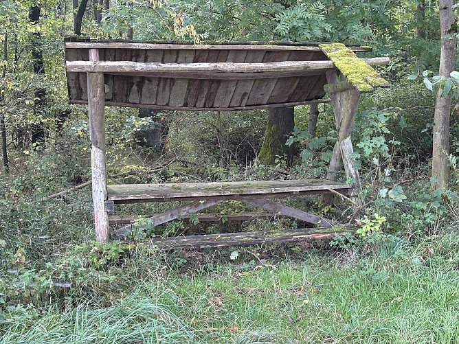 Weiterhin regnerisch, aber mild (Foto: oas) Weiterhin regnerisch, aber mild (Foto: oas)