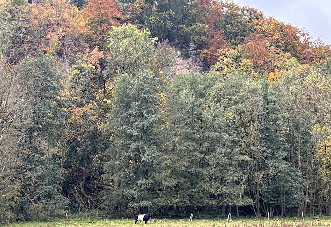 Herbstidyll am Alten Stolberg (Foto: oas)