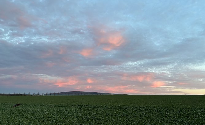 Weiterhin ruhiges Herbstwetter (Foto: oas) Weiterhin ruhiges Herbstwetter (Foto: oas)