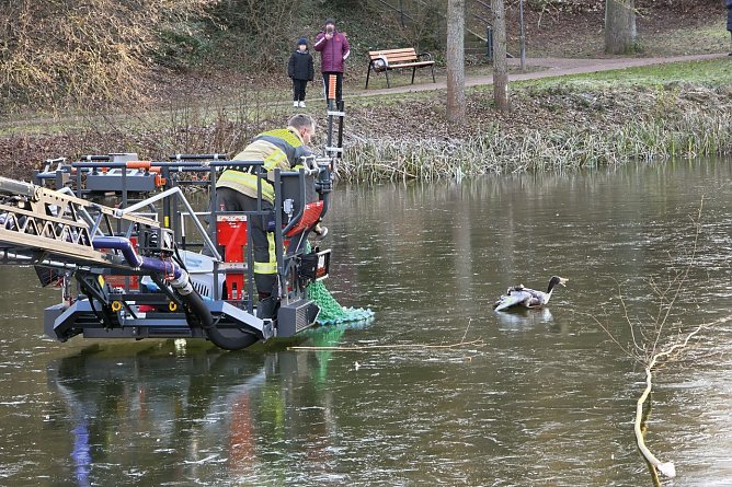 Tierischer Hilfseinsatz im Kurpark (Foto: Feuerwehr Heiligenstadt) Tierischer Hilfseinsatz im Kurpark (Foto: Feuerwehr Heiligenstadt)