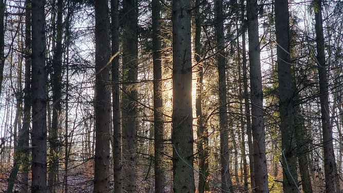 Wetterbild (Foto: agl)