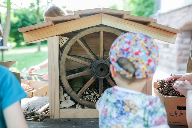 Kinder bauen ein Insektenhotel (Foto: Stadt Leinefelde-Worbis)