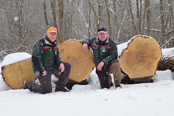 Eine Besonderheit zur diesj&auml;hrigen Submission: Es gibt nicht nur eine Braut, sondern zwei Br&auml;ute! (Bei der Submission wird eine Braut gek&uuml;rt � es ist der Stamm mit dem h&ouml;chsten Festmeterpreis). Tats&auml;chlich wurden durch einen niederl&auml;ndischen Furnierhersteller zwei Eichen mit exakt 3023 � beboten, die den Zuschlag erhielten. Die Besonderheit: Die eine Eiche kam aus dem Forstamt Bad Berka, die andere Eiche aus dem Nachbarforstamt Sondershausen. Die Leiter der Forst&auml;mter sind Br&uuml;der: Jan Kl&uuml;&szlig;endorf und Uli Kl&uuml;&szlig;endorf.  (Foto: ThForst/Jan B&ouml;hm)