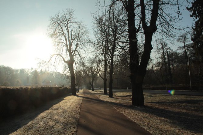 Wetterbild (Foto: agl)