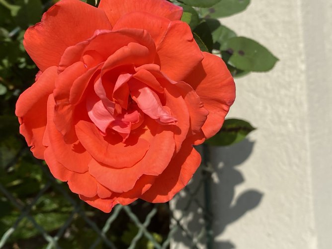 Welche Farbe hat die Welt? - sehr viele, kräftige und schöne Farben (Foto: Wolfgang Lehmann) Welche Farbe hat die Welt? - sehr viele, kräftige und schöne Farben (Foto: Wolfgang Lehmann)