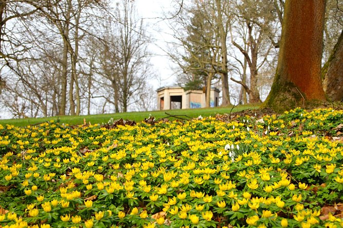 Wetterbild (Foto: agl) Wetterbild (Foto: agl)