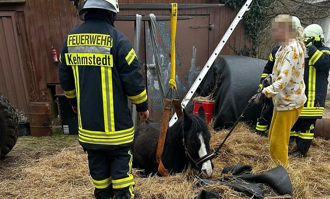 Das Pferd war in eine fr&uuml;here, jetzt leere, G&uuml;llegrube gerutscht. (Foto: Fotos: Feuerwehr Trebra/Silvio Dietzel)