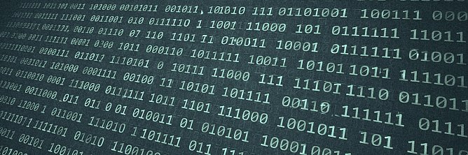 Website durch Bot-Invasion lahmgelegt (Foto: vgf)