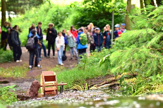 Waldjugendspiele ganz im Sinne von Pestalozzi und Fr&ouml;bel: Spielerisch lernen � und das im Wald mit F&ouml;rsterinnen und F&ouml;rstern (Foto: Jan B&ouml;hm)