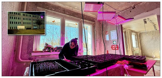 Eine Pflanzenzucht sorgte f&uuml;r Aufsehen.  (Foto: Ren&eacute; Wei&szlig;bach)