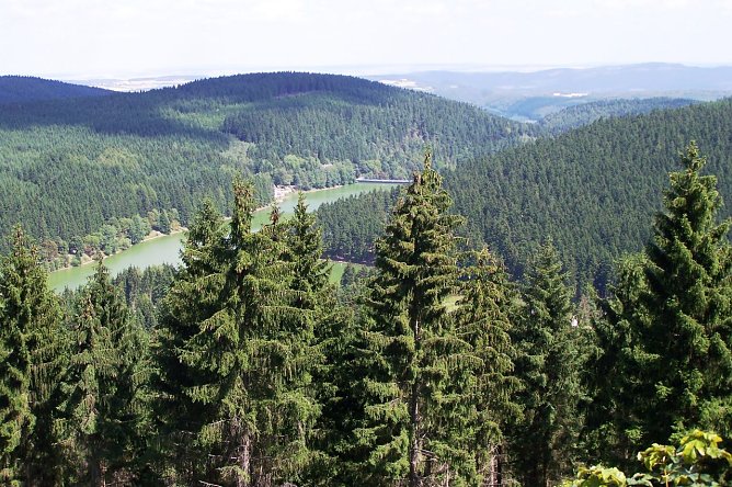 L&uuml;tscheblick (Foto: ThForst/Dr. Horst Spro&szlig;mann)