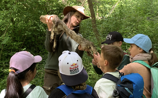 Bildungsreferentin Susann Knoth zeigt ein Fell einer echten Wildkatze (Foto: Lucy Geyer)