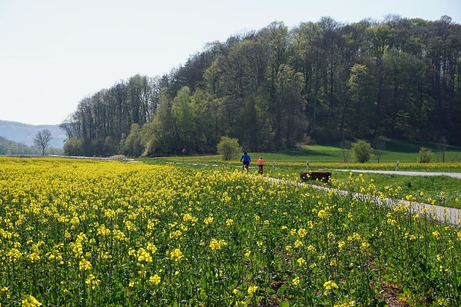 Symbolbild Wetter (Foto: ssc)