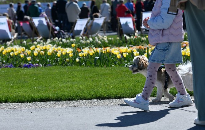 Hunde d&uuml;rfen mit auf das Gel&auml;nde der Landesgartenschau in Leinefelde. (Foto: Ren&eacute; Wei&szlig;bach)