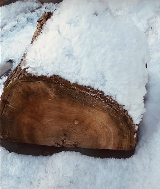 Bild: Holzstollen