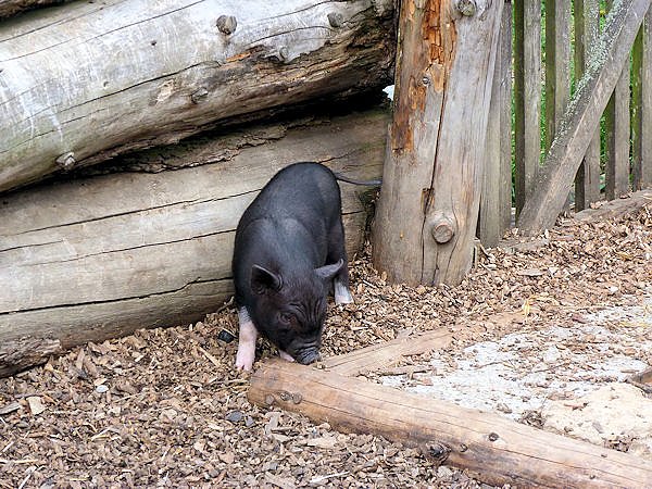 Auf dem Possen bei Sondershausen