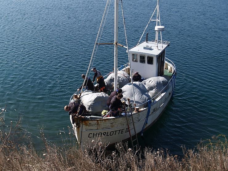 Machs gut, Charlotte III