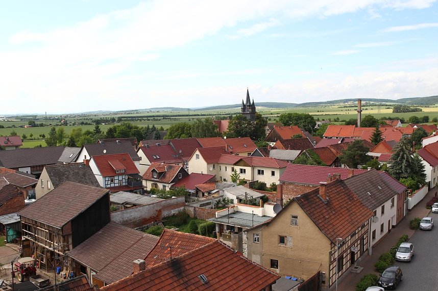Jungst&ouml;rche werden beringt