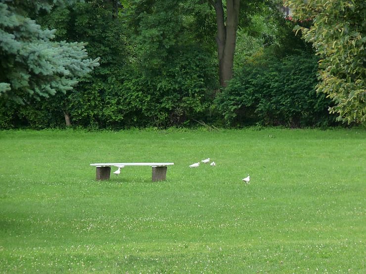 Wieder viel Engagement