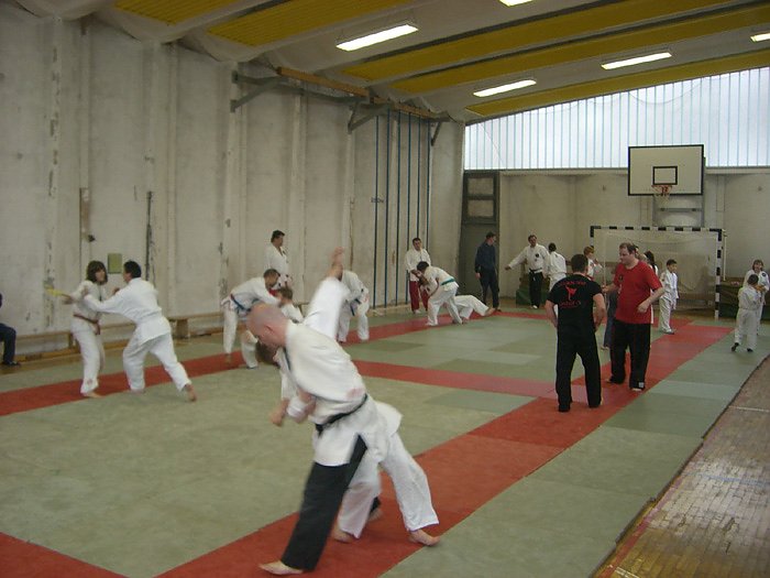 Kampfkunstvereine mit Schulung