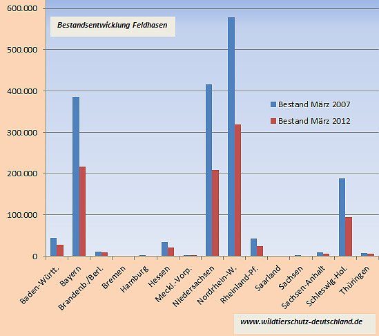 Bestand der Feldhasen...