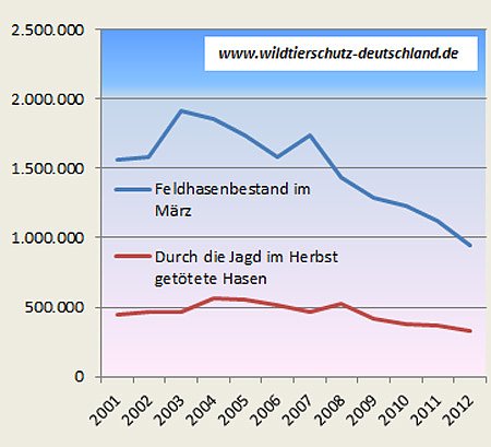 Bestand der Feldhasen...