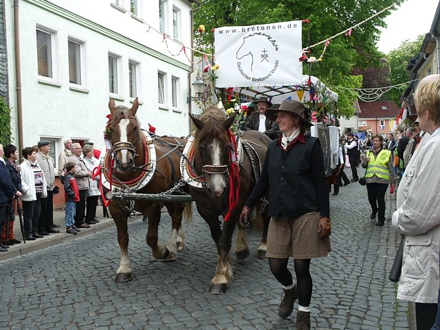 Festumzug Heimensteiner Kirmes