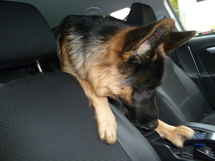 Praktikum bei der Polizei